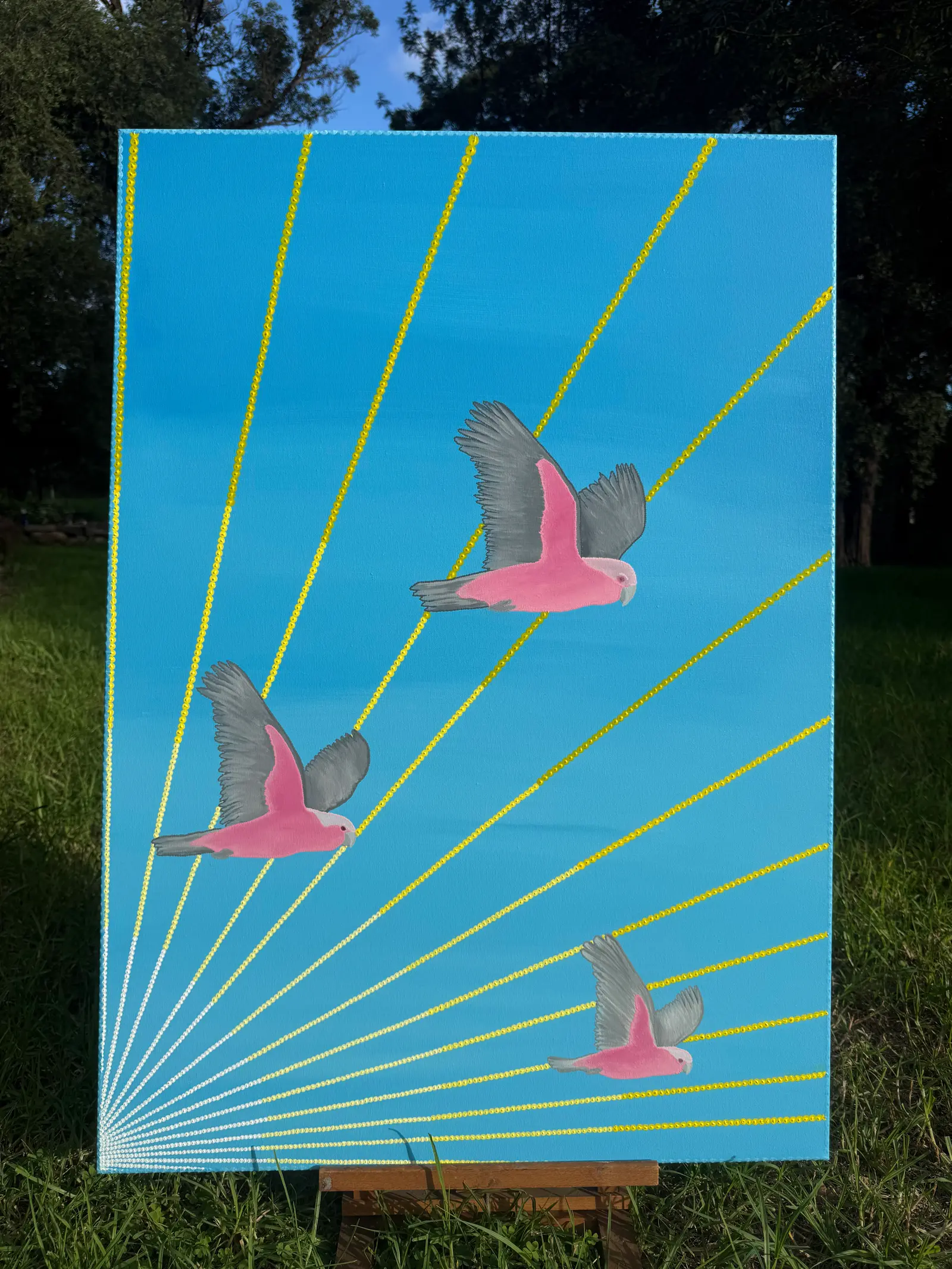Galahs — view 2
